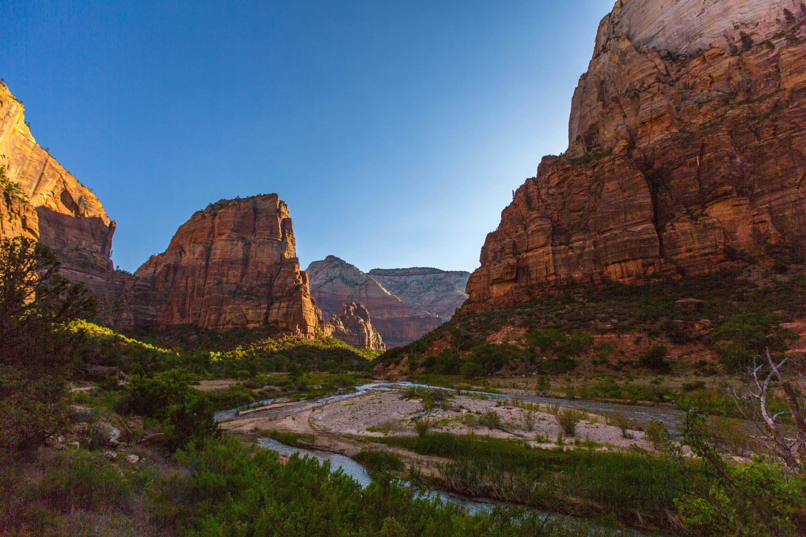 One Day In Zion National Park